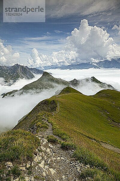 Der Gehrengrat über den Wolken von Lech und Zürs am Arlberg  Österreich  Europa
