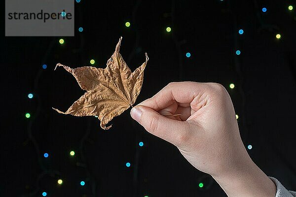 Blatt in der Hand auf einem hellen Bokeh-Hintergrund