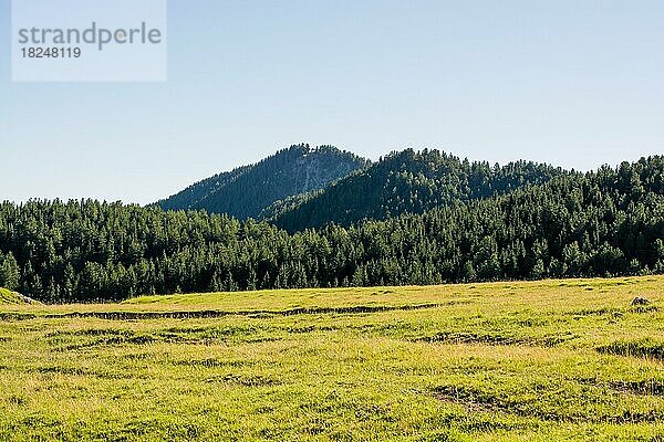 Bewaldete Berge in einer malerischen Landschaft vom Artvin-Hochland aus gesehen