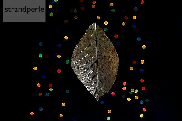 Trockenes Blatt auf einem Bokeh-Licht vor einem dunklen Hintergrund