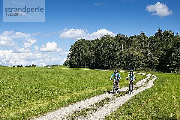 Fahrradfahrer  Radtour  Fahrradtour bei Bad Heilbrunn  Oberbayern  Bayern  Deutschland  Europa