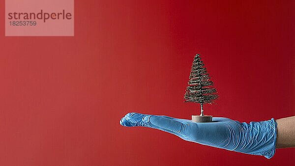 Person mit medizinischen Handschuhen hält Baum Spielzeug  Auflösung und hohe Qualität schönes Foto