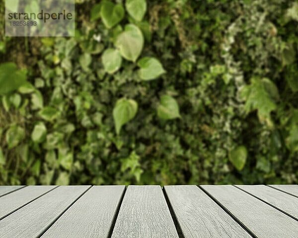 Tischoberfläche mit Blick auf verschwommene grüne Blätter. Auflösung und hohe Qualität schönes Foto