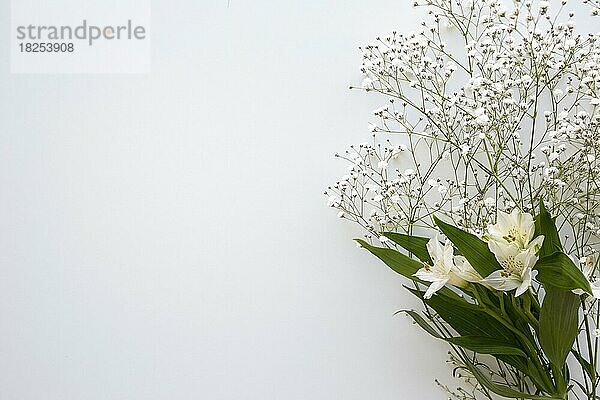 Draufsicht Baby s Atem weißen Lilien Blume weißen Hintergrund. Auflösung und hohe Qualität schönes Foto