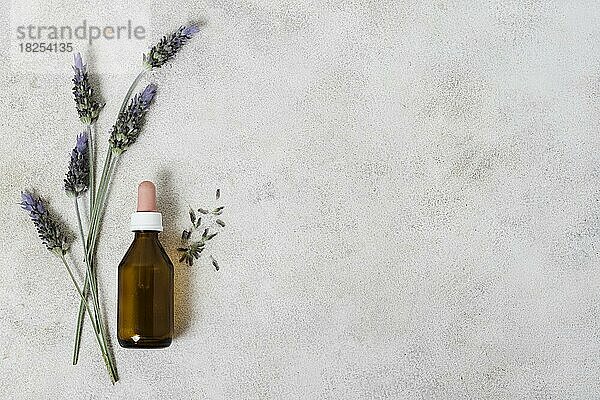 Draufsicht Glasflasche Lavendel Kopie Raum 1. Auflösung und hohe Qualität schönes Foto