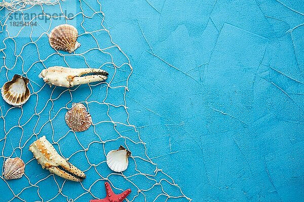 Draufsicht Muscheln Hummer Fischnetz. Auflösung und hohe Qualität schönes Foto