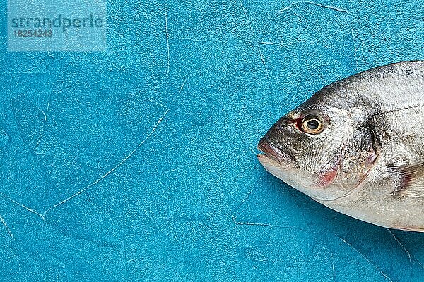 Draufsicht Fisch blauer Hintergrund. Auflösung und hohe Qualität schönes Foto