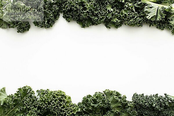 Draufsicht Grünkohlsalat mit Kopierraum. Auflösung und hohe Qualität schönes Foto