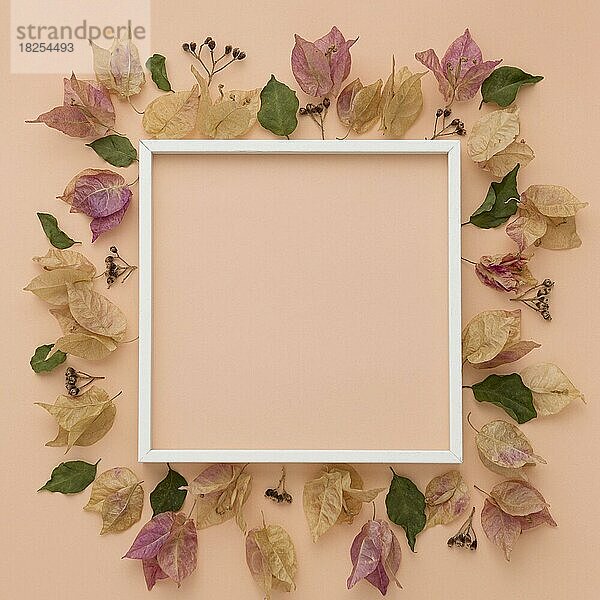 Draufsicht auf bunte Herbstblätter mit Rahmen. Auflösung und hohe Qualität schönes Foto