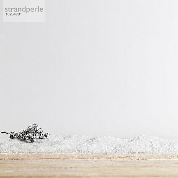 Holzbrett in der Nähe von Pflanzen Zweig auf Haufen von Schnee. Auflösung und hohe Qualität schönes Foto
