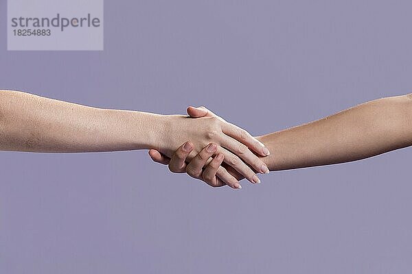 Frauen Händeschütteln als Zeichen des Friedens. Auflösung und hohe Qualität schönes Foto