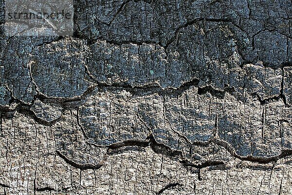 Nahaufnahme Baumrinde Textur als hölzernen Hintergrund