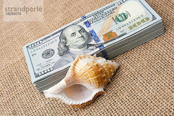 Muschel auf einem Bündel von US-Dollarnoten