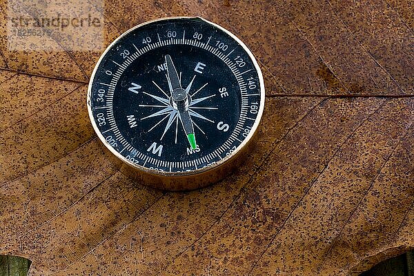 Kompass ein Instrument zur Bestimmung von Richtungen auf einem trockenen Blatt