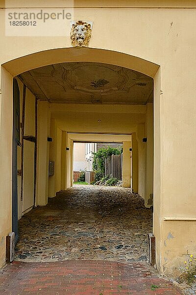 Schlussstein in Form eines Löwenkopfes im Rundbogen einer Hofeinfahrt  denkmalgeschütztes Gebäude Großschmiedestraße 21  Altstadt Wismar  Mecklenburg-Vorpommern  Deutschland  Europa