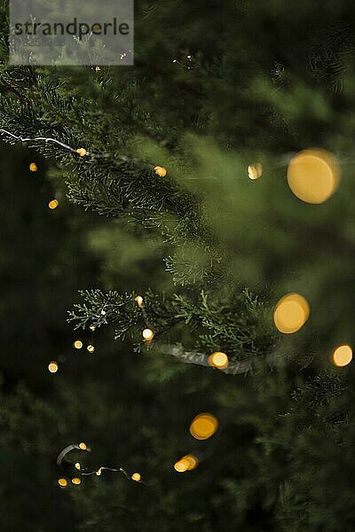 Weihnachtsdekoration mit schöner Baumbeleuchtung