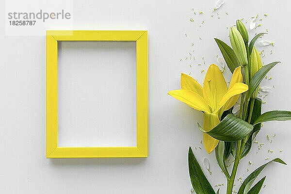 Erhöhte Ansicht frische gelbe Lilie Blumen mit leeren leeren Fotorahmen weißen Oberfläche