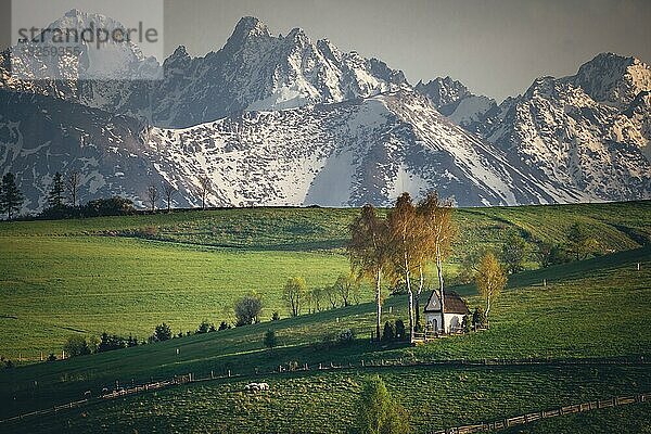 Kapelle  grüne Felder  schneebedeckte Gipfel im Hintergrund  Frühling  Podhale  Tatra-Gebirge  Polen  Europa