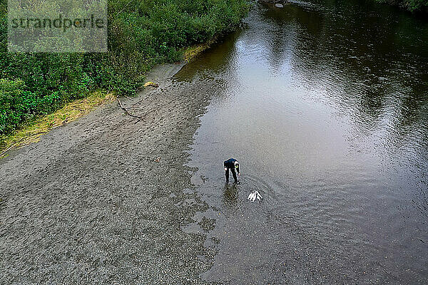 Mann watet im Fluss mit Lachsfischen an einer Leine in der Nähe von grünem Wald