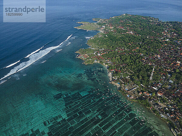 Luftaufnahme einer Algenplantage auf der Insel Nusa Lembongan  Bali