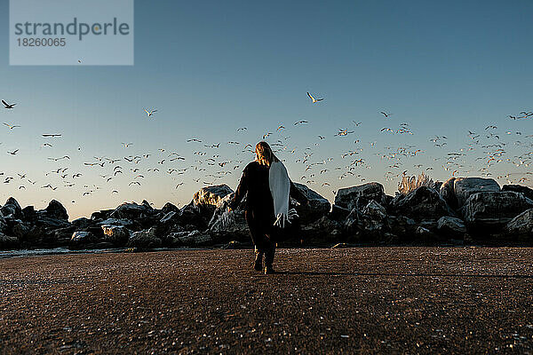 A young girl runs along the beach and a flock of seagulls scatter.