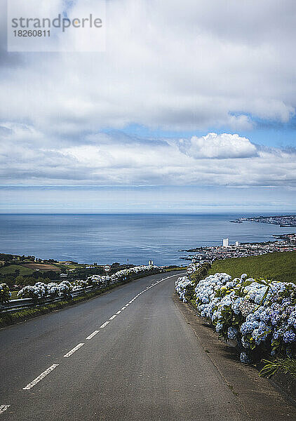 Von blauen Hortensien gesäumte Straße führt zum Atlantischen Ozean  Sao Miguel  Azoren