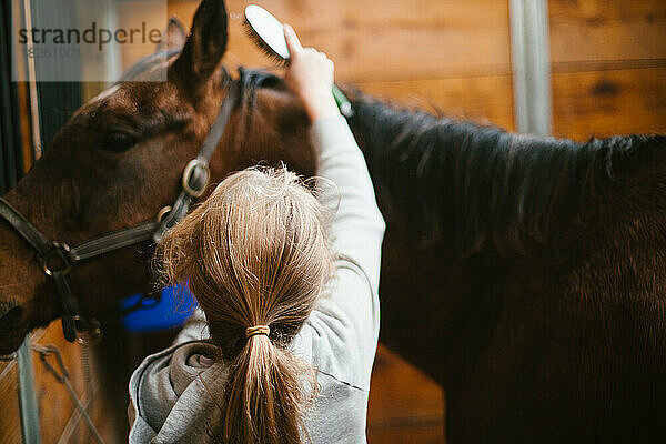 Blondes Mädchen bürstet braunes Pony in seinem Pferdestall  bevor es reitet