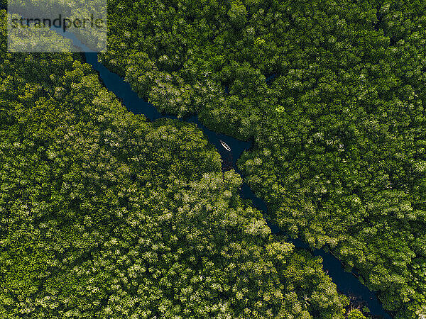 Luftaufnahme eines Bootes im Mangrovenwald  Lembongan  Bali