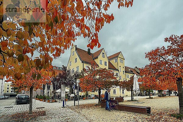 Herbstlicher St.-Mang-Platz mit Mandelbäumchen  in Kempten  Allgäu  Bayern  Deutschland  Europa
