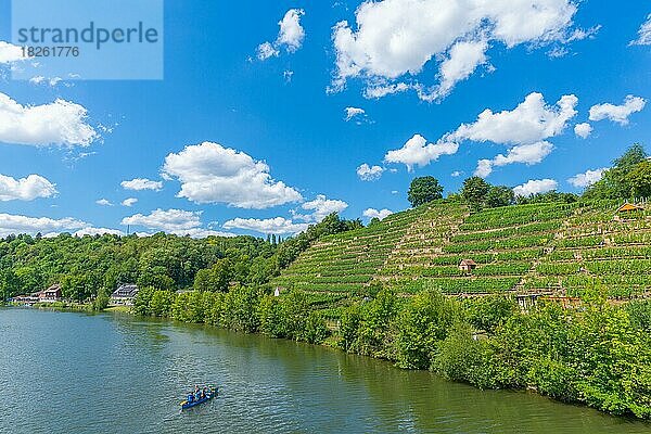 Stuttgart  Bezirk Mühlhausen  Weinberge am Neckar  Hanglage  Restaurants  Paddelboot  Sommer  blauer Himmel  Baden-Württemberg  Deutschland  Europa