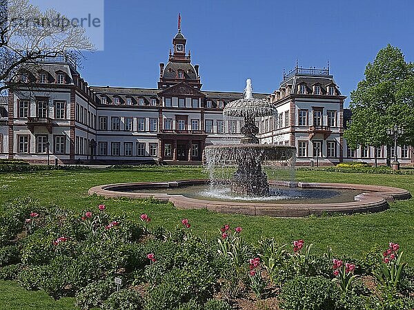 Schloss Philippsruhe  Hanau  Hessen  Deutschland  Europa