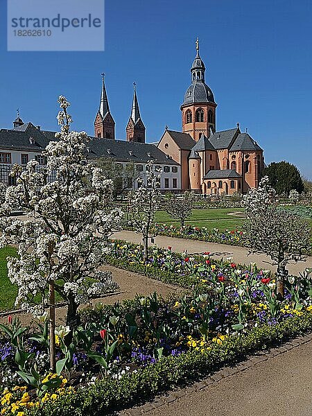 Einhard-Basilika und Klostergarten  Seligenstadt  Hessen  Deutschland  Europa
