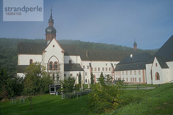Morgennebel  Kloster Eberbach  Eltville  Hessen  Deutschland  Europa