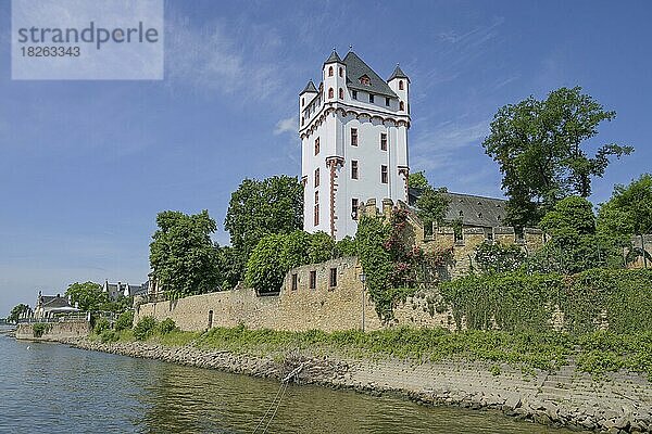Rhein  Wehrturm  Kurfürstliche Burg  Eltville  Hessen  Deutschland  Europa