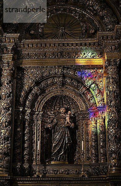 Buntes Licht auf einem vergoldeten Seitenaltar mit christlichen Figuren  Innenaufnahme  Kirche Igreja de São João Evangelista do Colégio do Funchal  Funchal  Madeira  Portugal  Europa