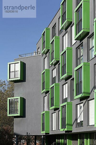 Modernes Wohnhaus mit grünen Erkerfenstern  Düsseldorf  Norrhein-Westfalen  Deutschland  Europa