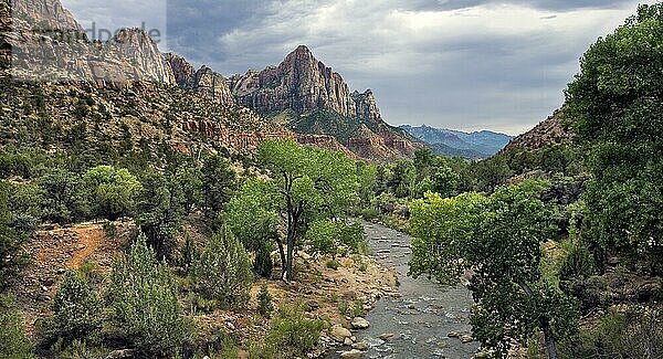 Nachmittagslicht am Virgin River  Zion National Park  Utah