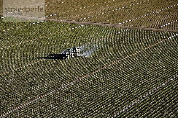 Düngung von Nutzpflanzen  Landwirtschaft in Südflorida