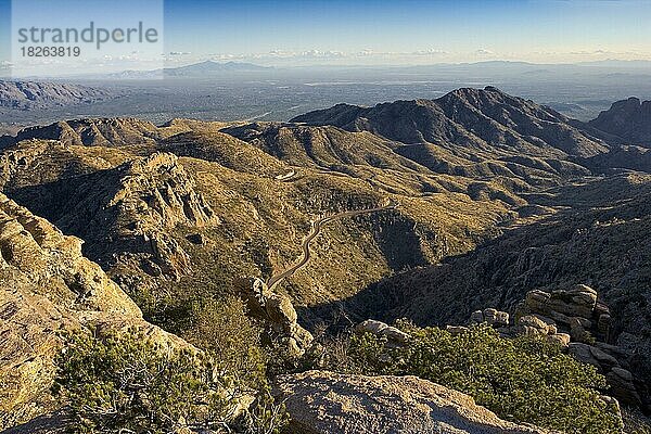 Blick vom Mt. Lemmon auf den Catalina Highway  Arizona  USA  Nordamerika