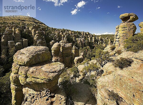 Land of the Standing-Up Rocks  Vulkanische Rhyolithablagerung  Chiricahua National Monument  Arizona  USA  Nordamerika
