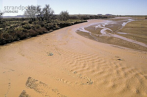 Wasser in der Wüste  Arizona  USA  Nordamerika