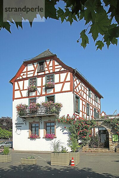 Weinhaus Krone am Platz von Montrichard in Eltville  Hessen  Deutschland  Europa
