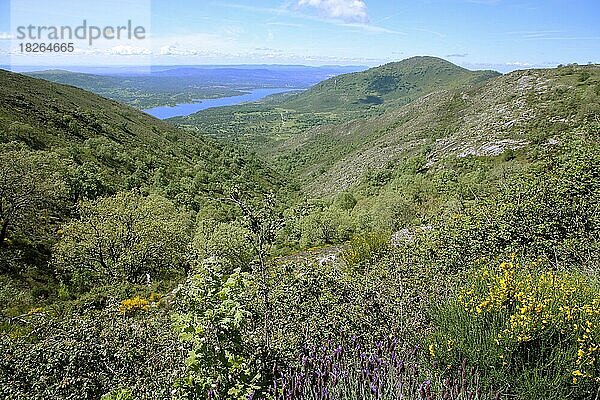 Blick ins Valle del Jerte auf Embalse del Jerte bei Plasencia  Extremadura  Spanien  Europa