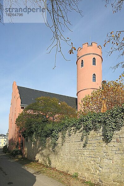 Burg Crass in Eltville  Rheingau  Taunus  Hessen  Deutschland  Europa