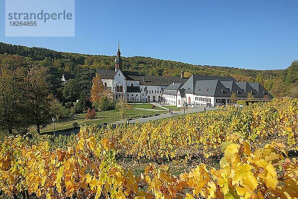 Kloster Eberbach mit Weinreben bei goldenen Herbst im Rheingau  Hessen  Deutschland  Europa