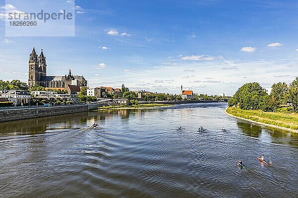 Magdeburger Dom und Kanuten auf der Elbe  Magdeburg  Sachsen-Anhalt  Deutschland  Europa