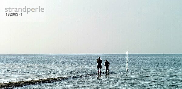 Zwei Personen auf einer Buhne an der Nordseeküste in Cuxhaven Sahlenburg  Landkreis Cuxhaven  Deutschland  Europa