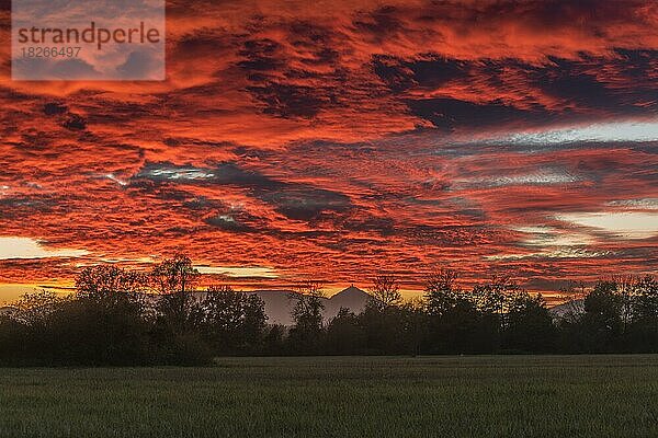 Schöner glühender Himmel über der Ebene im Sonnenuntergang. Elsass  Frankreich  Europa