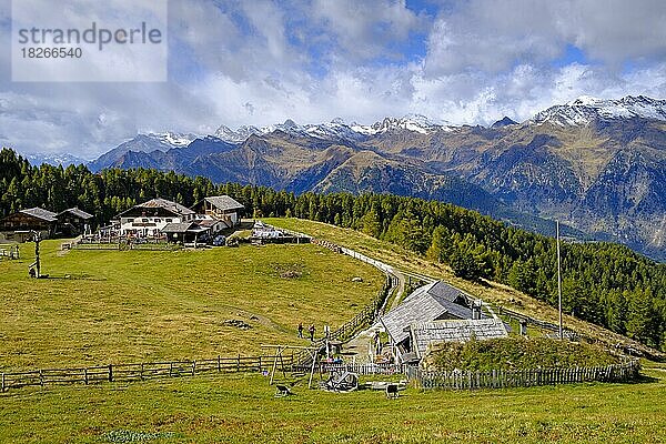 Reseeger Alm und Hirzer Hütte  Tallner Almboden  Klammeben  Hirzer bei Saltaus  Passeier Tal  Südtirol  Italien  Europa