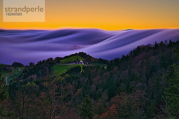 Nebelwelle vor Sonnenaufgang über dem Baselbieter Jura  Schweizer Belchenregion  Kanton Basellandschaft  Schweiz  Europa